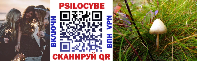 где продают наркотики  Нязепетровск  Галлюциногенные грибы GOLDEN TEACHER 
